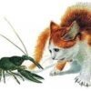 Где раки зимуют