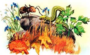 Как муравьишка домой спешил