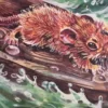 "Кораблекрушение" Бианки В.В.