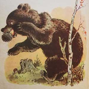 Лесной колобок