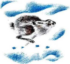 Снежная книга