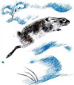 Снежная книга