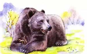 Заяц, косач, медведь и весна