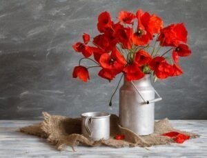 Сказка «Маки и мяч» Наталья Абрамцева