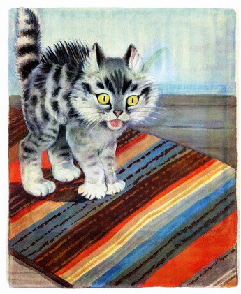 котёнок