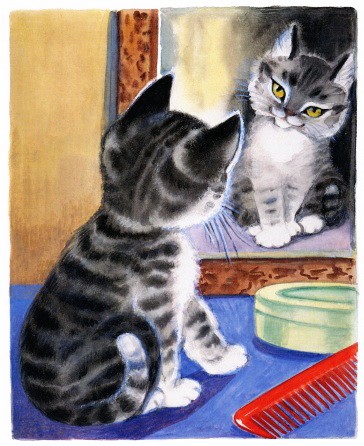 Котёнок и зеркало