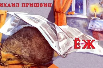 Ёж - рассказ Михаила Пришвина Рассказ Михаила Пришвина «Ёж»