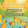 Рассказ Михаила Пришвина «Утиное купанье»