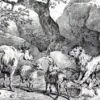 «Делёж львиный» Ивана Хемницера